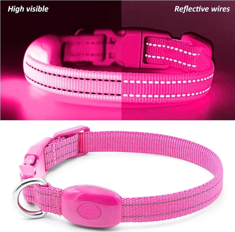 Halo-Pup Safety Dog Collar