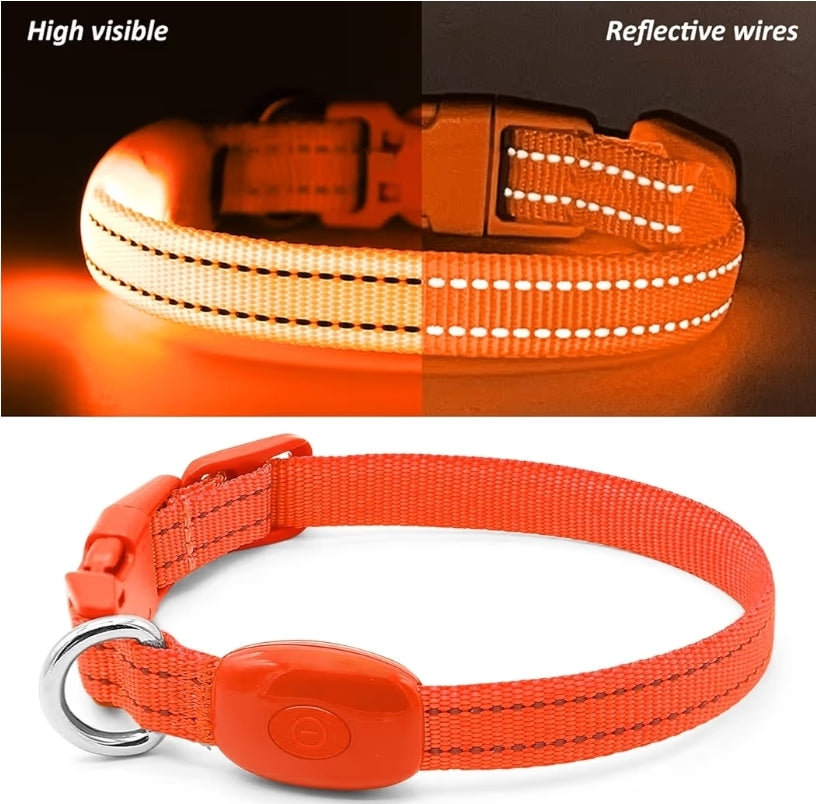 Halo-Pup Safety Dog Collar