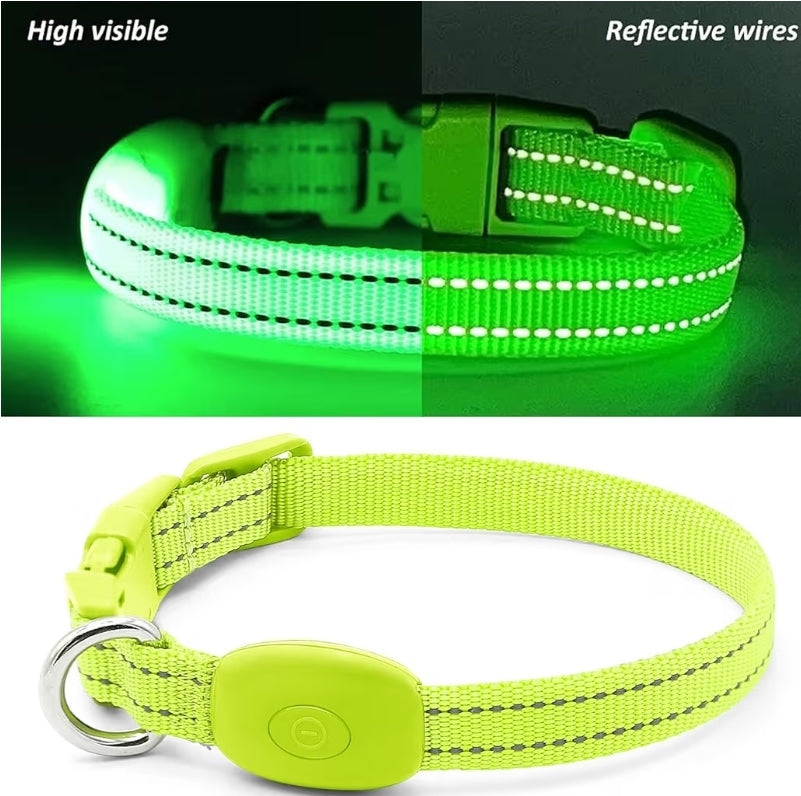 Halo-Pup Safety Dog Collar