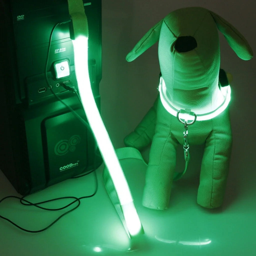 Spencer LED Dog Collar, USB Rechargeable Safety Light up Glowing Pet Collars for Dog with Nylon Webbing, 3 Glowing Modes & 3 Reflective Strings Perfect for Small, Medium Dogs "S-Xl,Green"