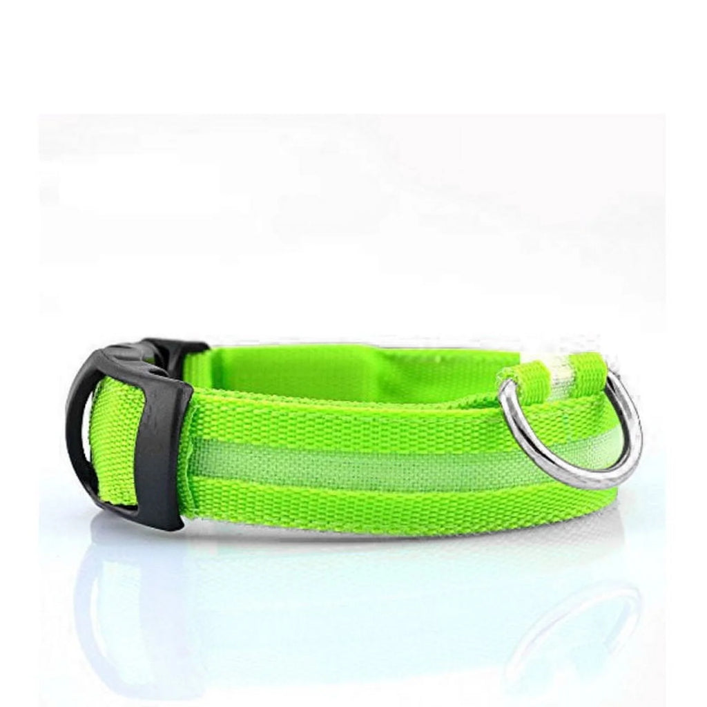 Spencer LED Dog Collar, USB Rechargeable Safety Light up Glowing Pet Collars for Dog with Nylon Webbing, 3 Glowing Modes & 3 Reflective Strings Perfect for Small, Medium Dogs "S-Xl,Green"