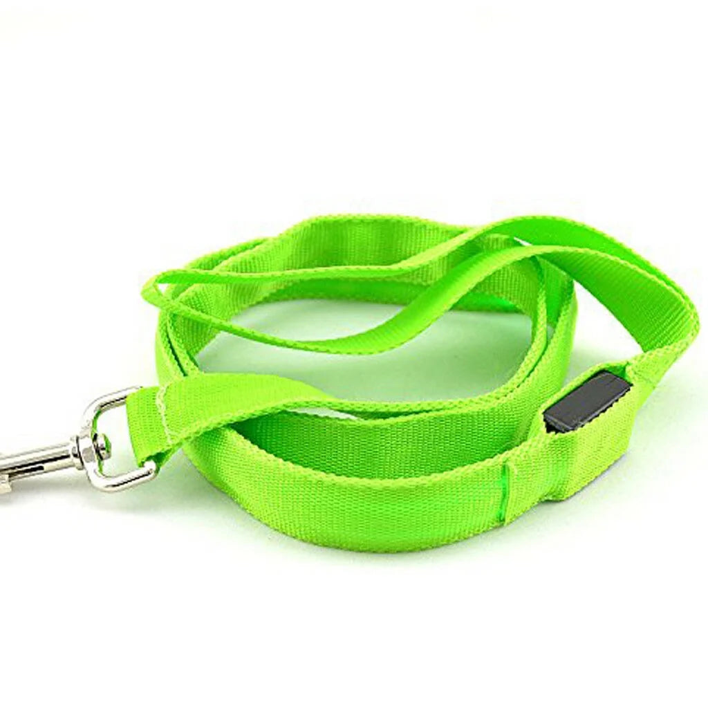 Spencer LED Dog Collar, USB Rechargeable Safety Light up Glowing Pet Collars for Dog with Nylon Webbing, 3 Glowing Modes & 3 Reflective Strings Perfect for Small, Medium Dogs "S-Xl,Green"