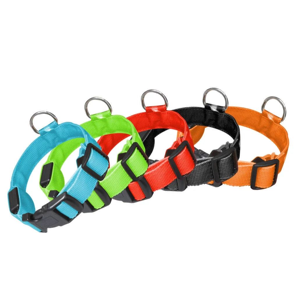 Spencer LED Dog Collar, USB Rechargeable Safety Light up Glowing Pet Collars for Dog with Nylon Webbing, 3 Glowing Modes & 3 Reflective Strings Perfect for Small, Medium Dogs "S-Xl,Green"