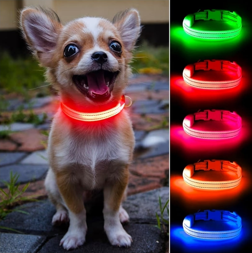Halo-Pup Safety Dog Collar
